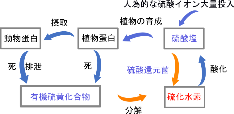 ありゅうさんパルプ